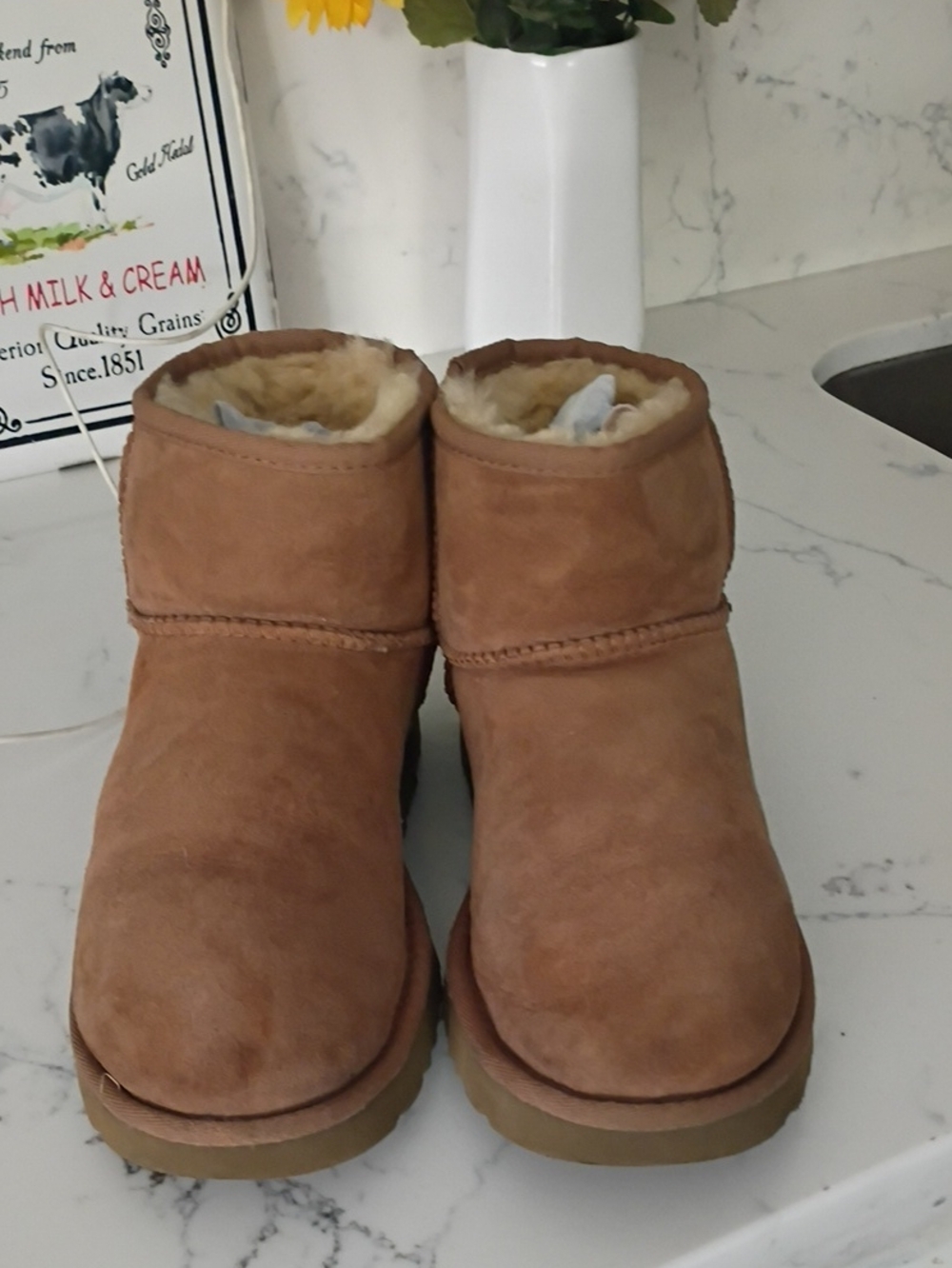 Ugg Women's Mini Boots Chestnut